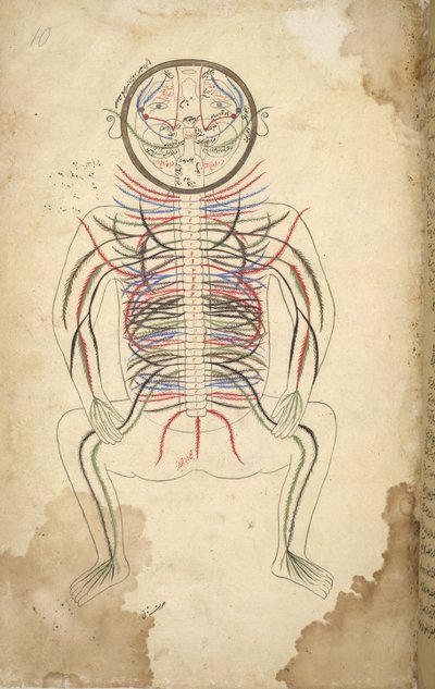 E.A. Your Islam 1379, F.10, İnsan Yetmişi, Oshra