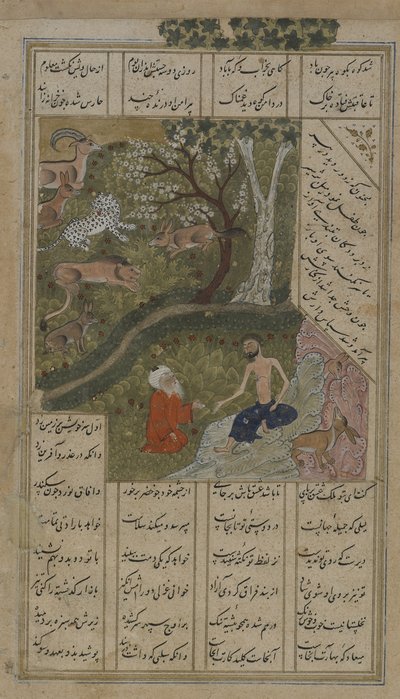 Şeyh Salim tarafından vahşi doğada ziyaret edilen Mecnun, Nizami