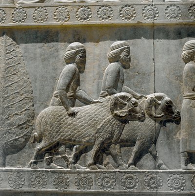 Soğdlular I. Darius