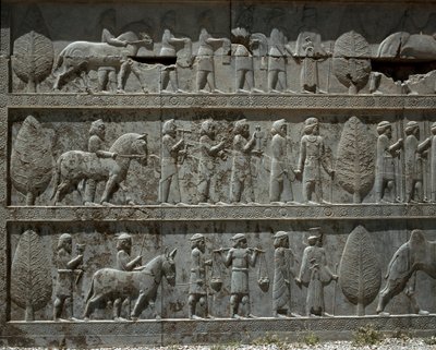 İtaatkar halklar Darius I