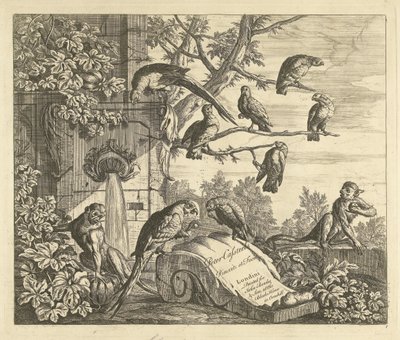 Bir bahçe çeşmesinde papağanlar ve maymunlar Farklı kuşlar (dizi başlığı) by Peter Casteels (III)