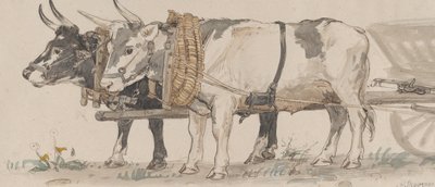 Arabayı Çeken İki Öküz, 1874. by Peter Christian Thamsen Skovgaard