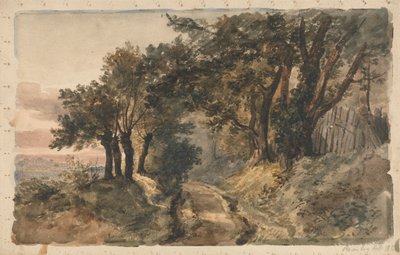 Bromley Tepesi by Peter DeWint