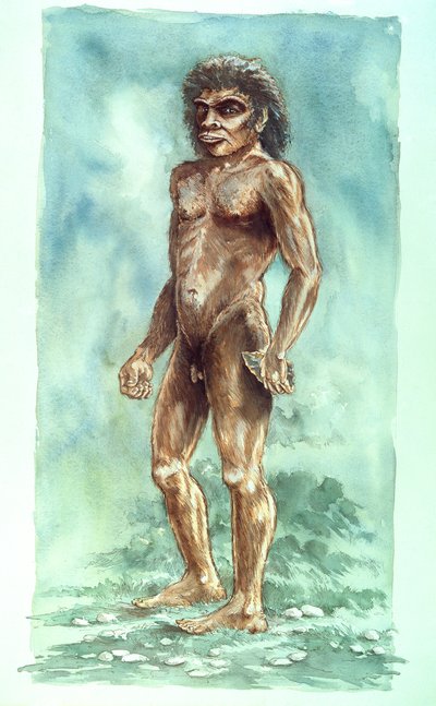 Boxgrove Adamı, Tarih Öncesi, 1990-2010 by Peter Dunn