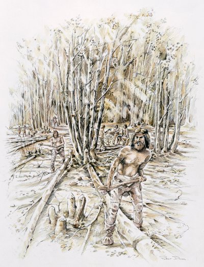 Çakmaktaşı işlemenin kullanımları, Prehistorik, c1990-2010 by Peter Dunn