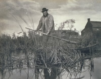 Bataklıklardan Eve Dönüş, Norfolk Broads