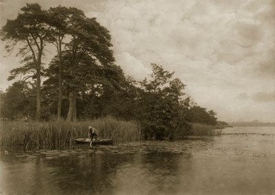 Turna Perisi, 1886 dolayları by Peter Emerson und Thomas Goodall