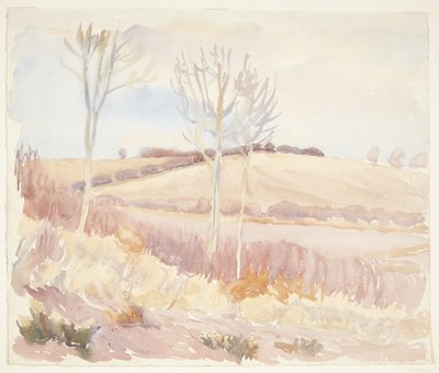 Funen manzarası. Bahar by Peter Hansen
