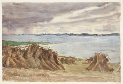 Çavdar tırıs. Kedi kırmızı tilki. Arka planda Bjørnø by Peter Hansen