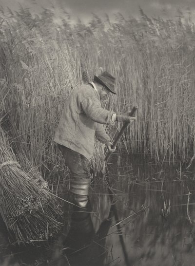 A Reed-Cutter İş Başında, 1886. Yaratıcılar: Dr Peter Henry Emerson, Thomas Frederick Goodall. by Peter Henry Emerson, Thomas Frederick Goodall