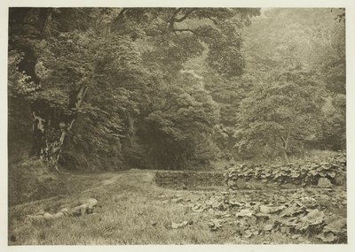 Beresford Dale