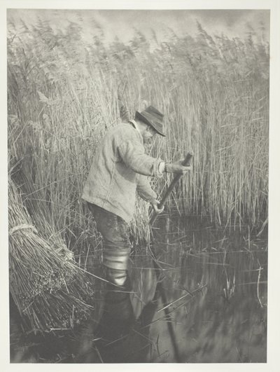  by Peter Henry Emerson