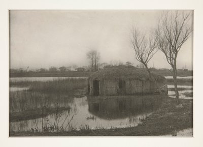 Bir Kamış Kayık Evi, Norfolk Panolarında Yaşam ve Peyzaj