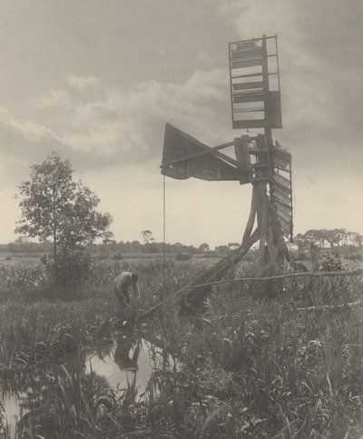 Yıkılmış Bir Su Değirmeni by Peter Henry Emerson