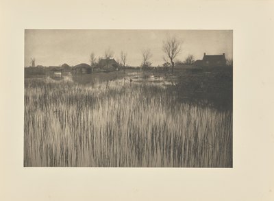 Aceleci Bir Kıyı by Peter Henry Emerson