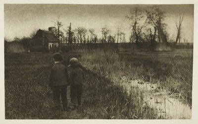 Yoldaki Bir Kurbağa: Norfolk