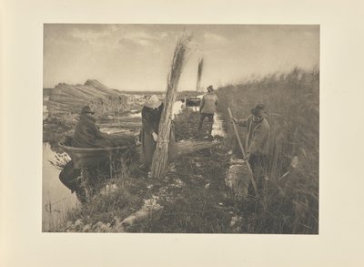 Kamış Hasadı Sırasında by Peter Henry Emerson
