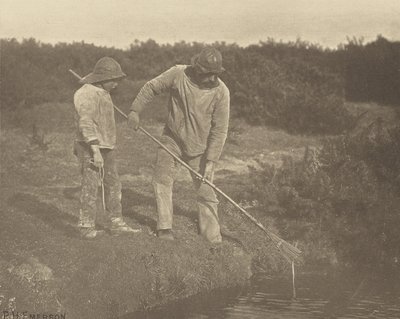 Yılan Balığı  Suffolk Sularında Toplama by Peter Henry Emerson