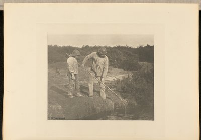 Yılan Balığı  Suffolk Sularında Toplama by Peter Henry Emerson