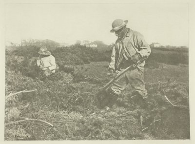 Bir Suffolk Ortak üzerinde Furze-Kesme by Peter Henry Emerson