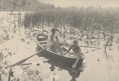 Nilüfer Toplama by Peter Henry Emerson