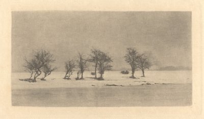 Boğumlu Dikenli Ağaçlar by Peter Henry Emerson
