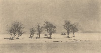 Boğumlu Dikenli Ağaçlar, c. 1890, basılı c. 1895. by Peter Henry Emerson