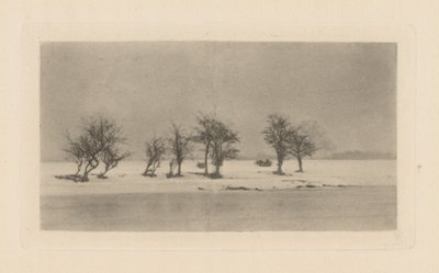 Boğumlu Dikenli Ağaçlar by Peter Henry Emerson