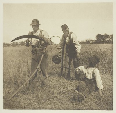 Arpa Hasadında (Suffolk) by Peter Henry Emerson