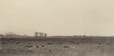 Kuzey Denizi kıyısındaki bataklıklar by Peter Henry Emerson