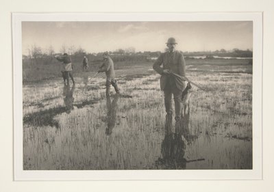 Bataklıkta Avlanan Adamlar by Peter Henry Emerson