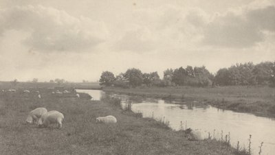 Bure Nehri üzerinde,1886 (fotoğraf) by Peter Henry Emerson