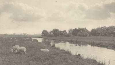 Bure Nehri üzerinde by Peter Henry Emerson