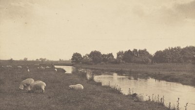 Bure Nehri üzerinde by Peter Henry Emerson