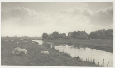 Bure Nehri üzerinde by Peter Henry Emerson