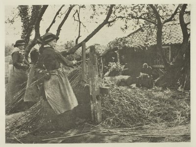 Hasır Soyma (Norfolk) by Peter Henry Emerson