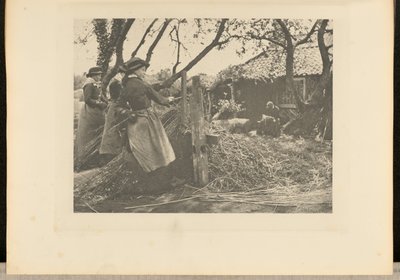 OsierPeeling. [Norfolk]]. by Peter Henry Emerson