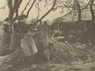 OsierPeeling. [Norfolk]]. by Peter Henry Emerson