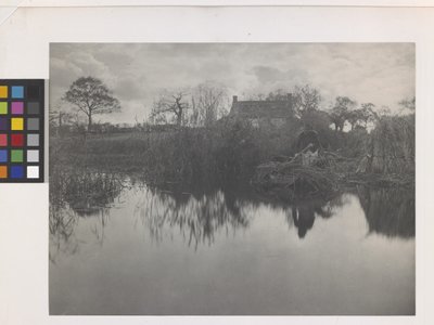 Gladdon'u Kanıtlamak (orijinal kaide üzerine platin baskı) by Peter Henry Emerson