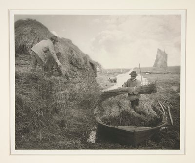resifi sallamak by Peter Henry Emerson