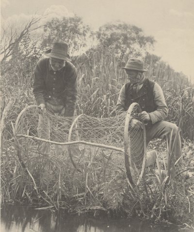 Bow-Net