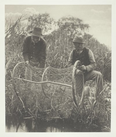 Yay Ağının Kurulumu by Peter Henry Emerson
