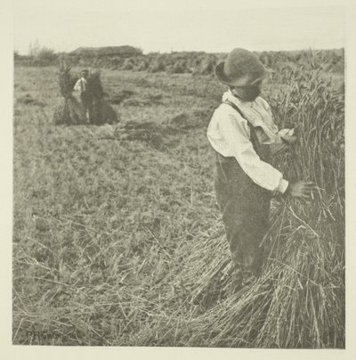 Şok Mısır (Norfolk) by Peter Henry Emerson