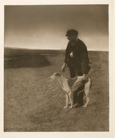 Kaçak Avcı - Görünümdeki Bir Tavşan by Peter Henry Emerson