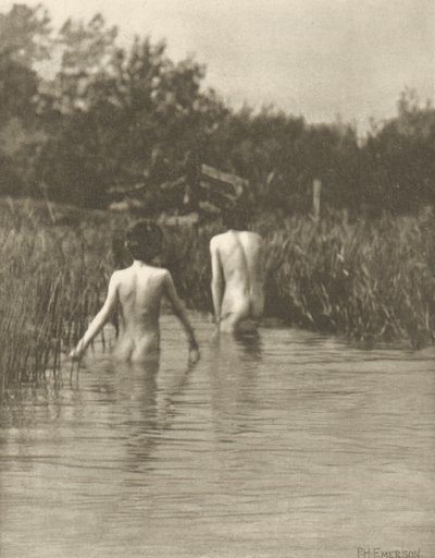 Su Bebekleri by Peter Henry Emerson