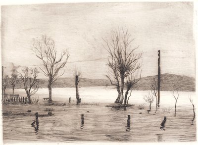 Tyreholm
