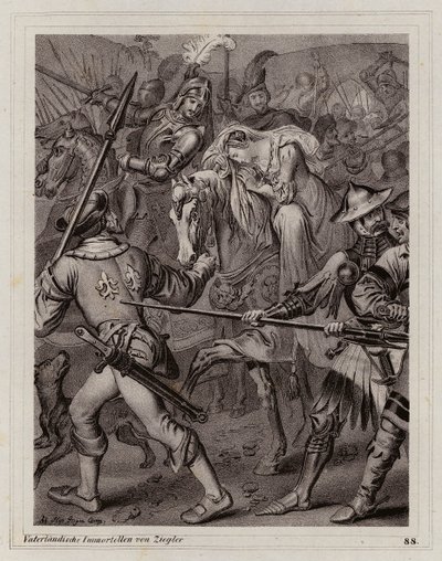  by Peter Johann Nepomuk Geiger