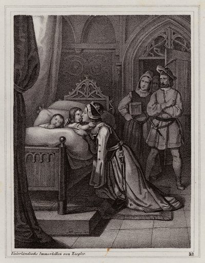  by Peter Johann Nepomuk Geiger