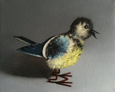 mavi baştankara, 2016 by Peter Jones