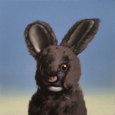 tavşan, 2017 by Peter Jones